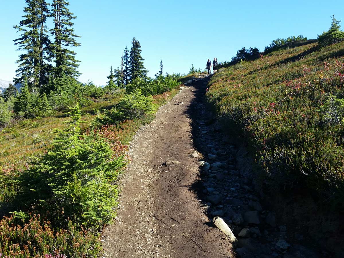 Climbing the trail to Elfin Lakes near Squamish