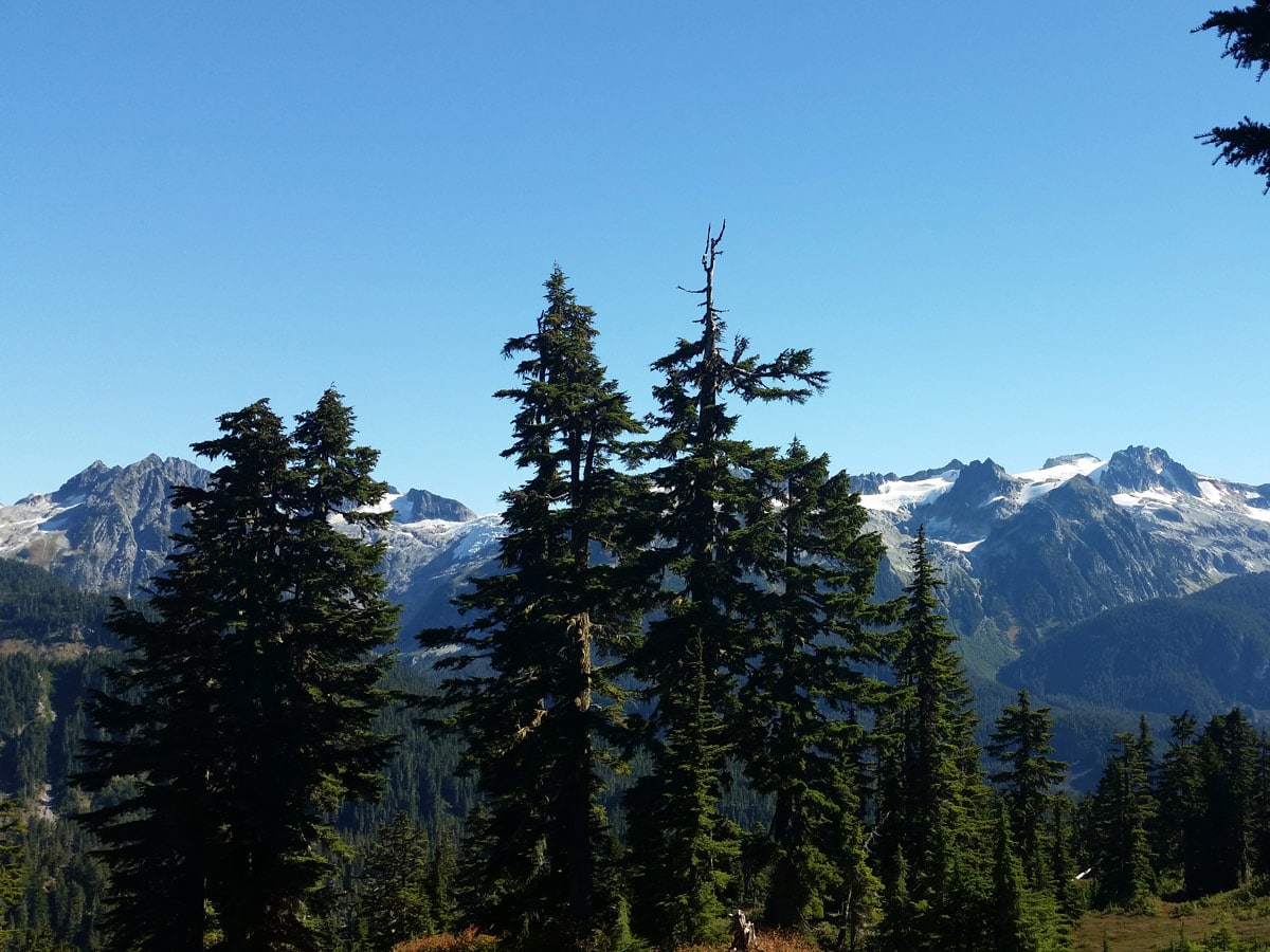 Nearby mountains viewed on hike to Elfin Lakes near Squamish