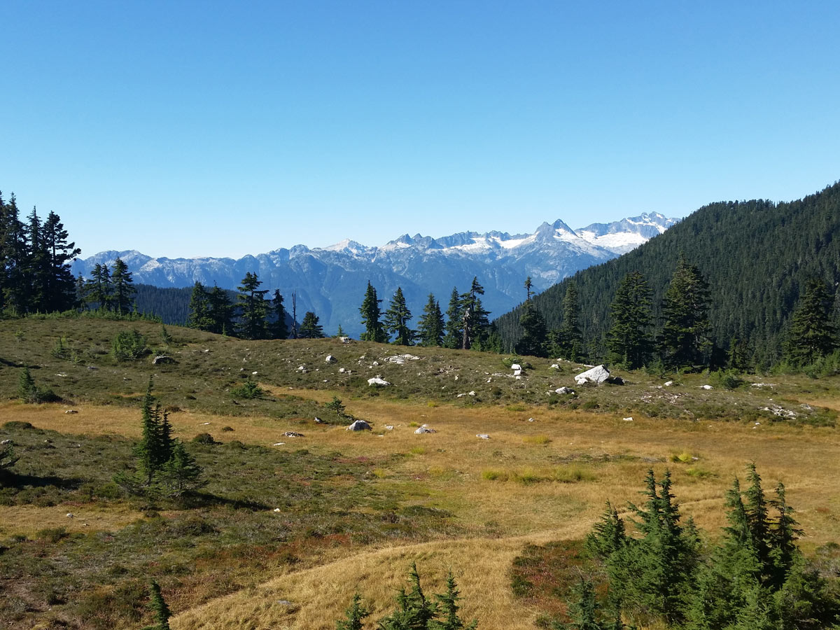 Meadows near Elfin Lakes in Squamish BC