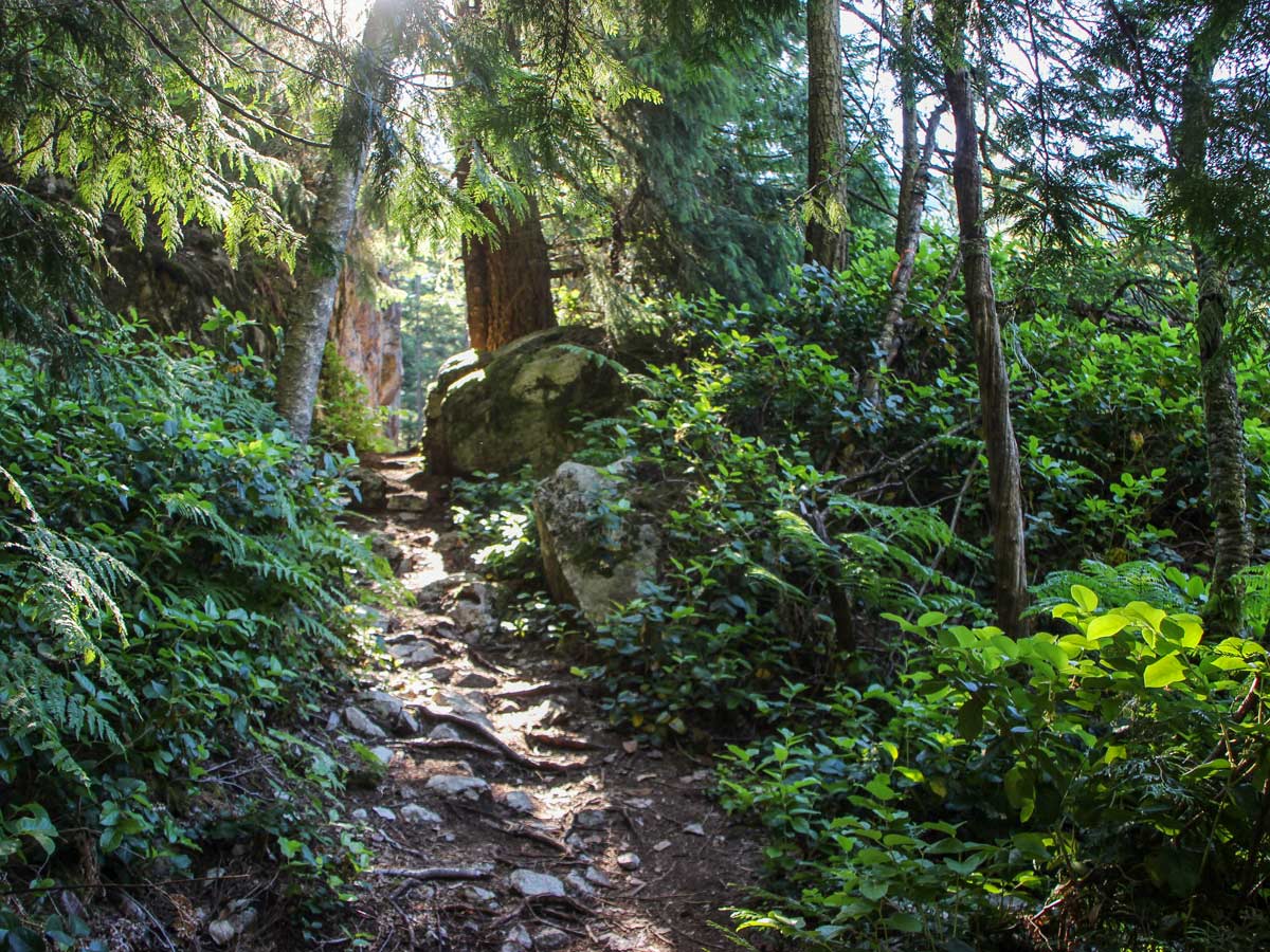 Wooded hiking path through Murrin Park Squamish