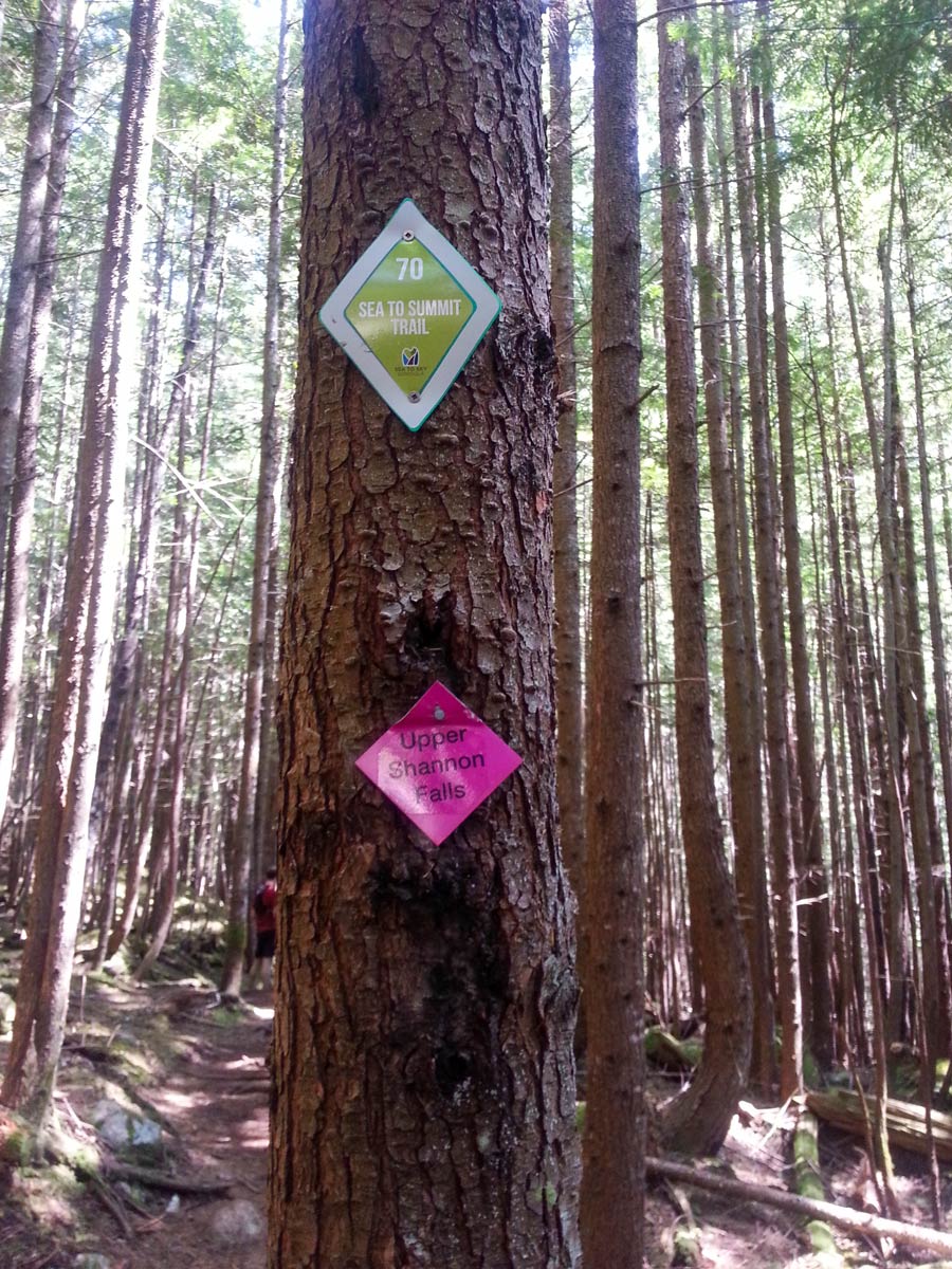 SeaToSkyGondolaHike Signposts for Sea to Summit trail and Upper Shannon Falls