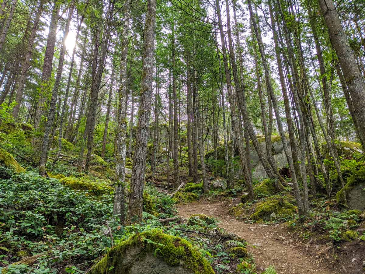 Trail to Squamish Smoke Bluffs in British Columbia