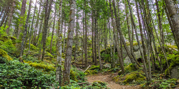 Squamish Smoke Bluffs