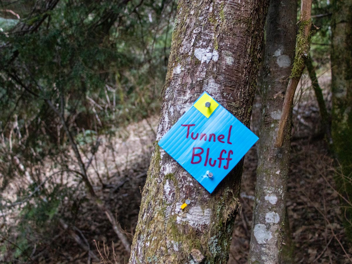 Trail marker along the way up Tunnel Bluffs hiking trail near Squamish BC
