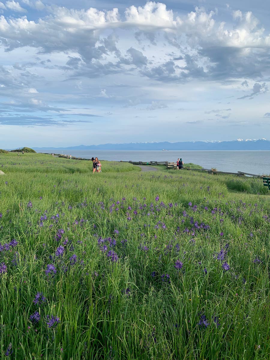 People stroll along path at Ogden Point on one of the best hiking trails around Victoria