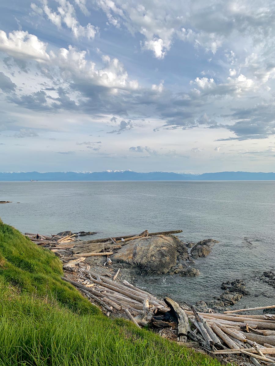 Drifwood piled by the shore near Dallas Road hiking the best trails around Victoria