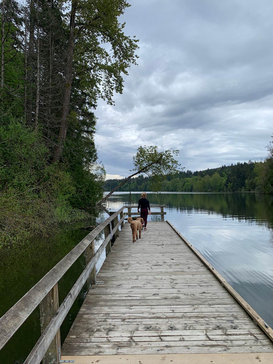 Dog walking near Elk Lake on one of the best hiking trails near Victoria BC