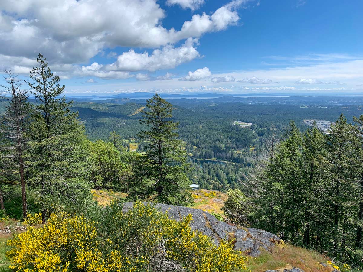 Beautiful afternoon hiking on Mount Finlayson near Victoria