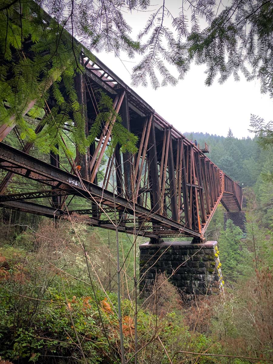 Beautiful Goldstream Trestle trail some of the best hiking around Victoria