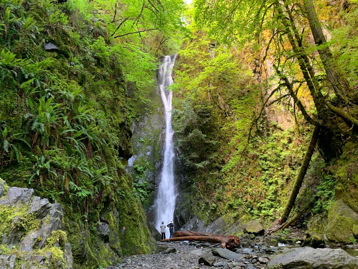 Hikers gaze up at tall waterfalls along Goldstream to Trestle trail near Victoria