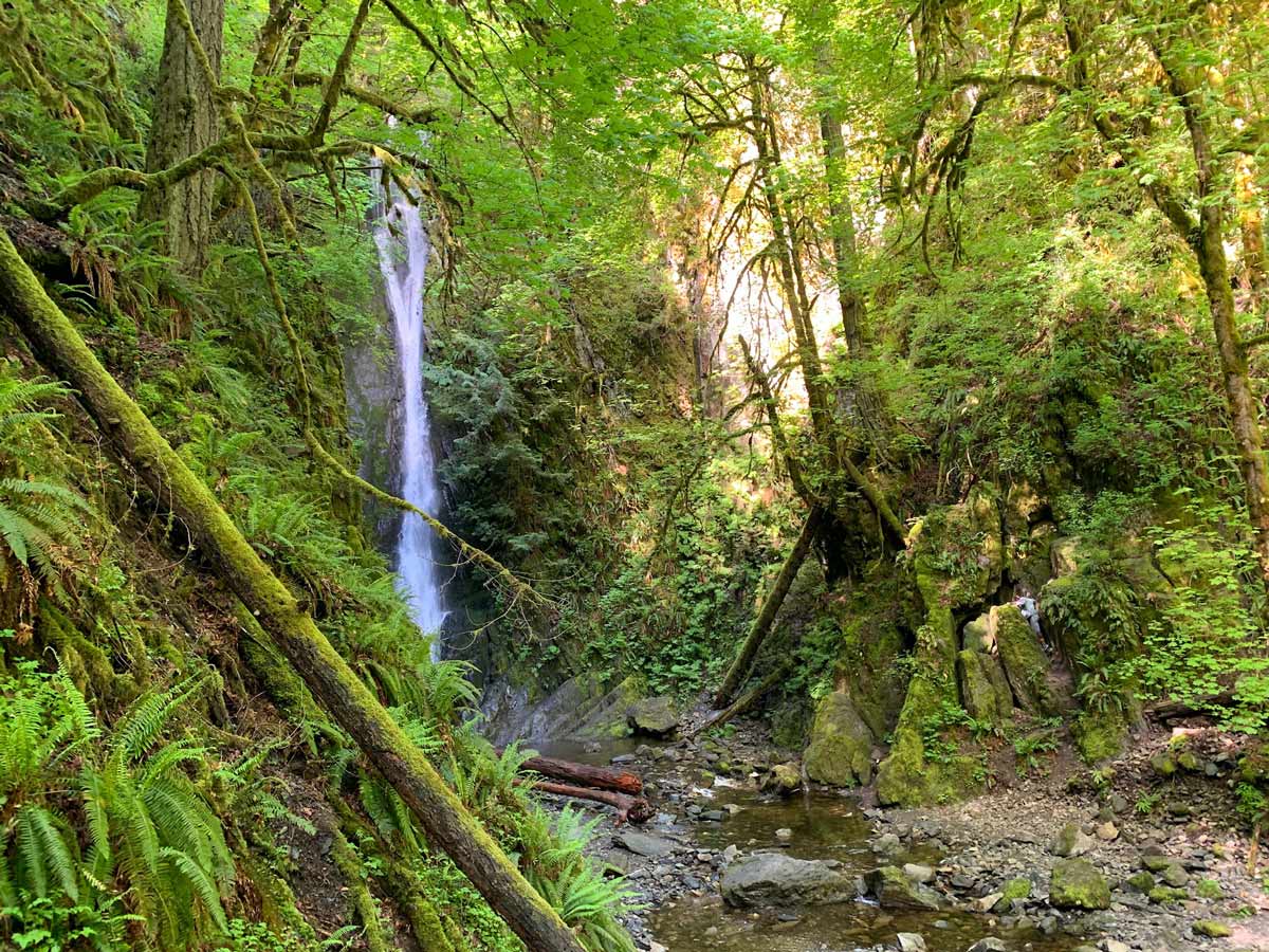 Natural waterfall in mossy forest along Goldstream to Trestle near Victoria BC