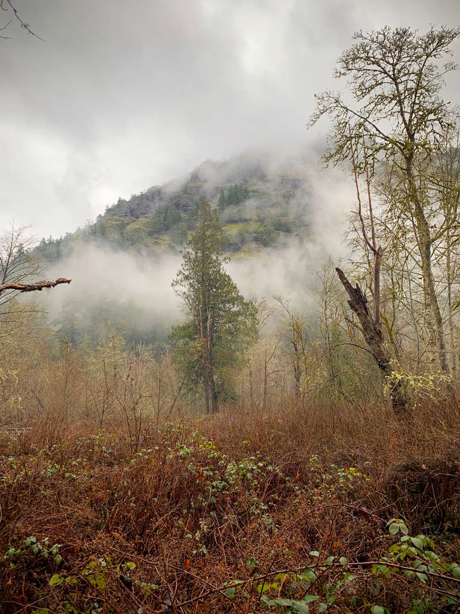 Misty mountains along path Goldstreat to Trestle