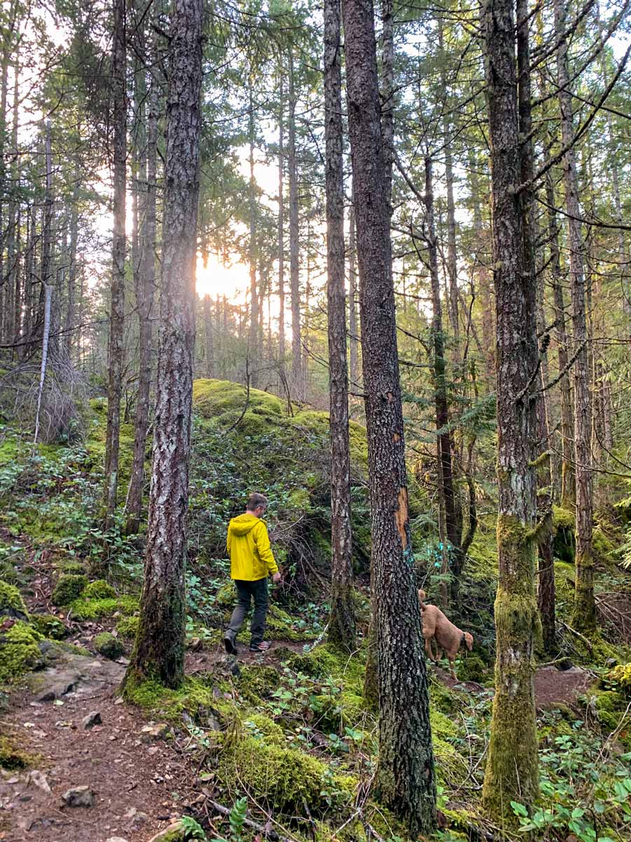 Hiker treks through forest at Jocelyn Hill on one of the best hikes near Victoria BC