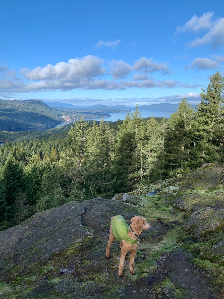 Beautiful evening with views of ocean from Mount Work near Victoria