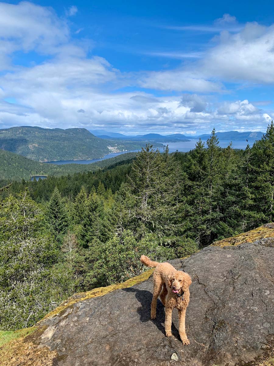 Ocean in the distance from one of Victorias best hiking trails up Mount Work