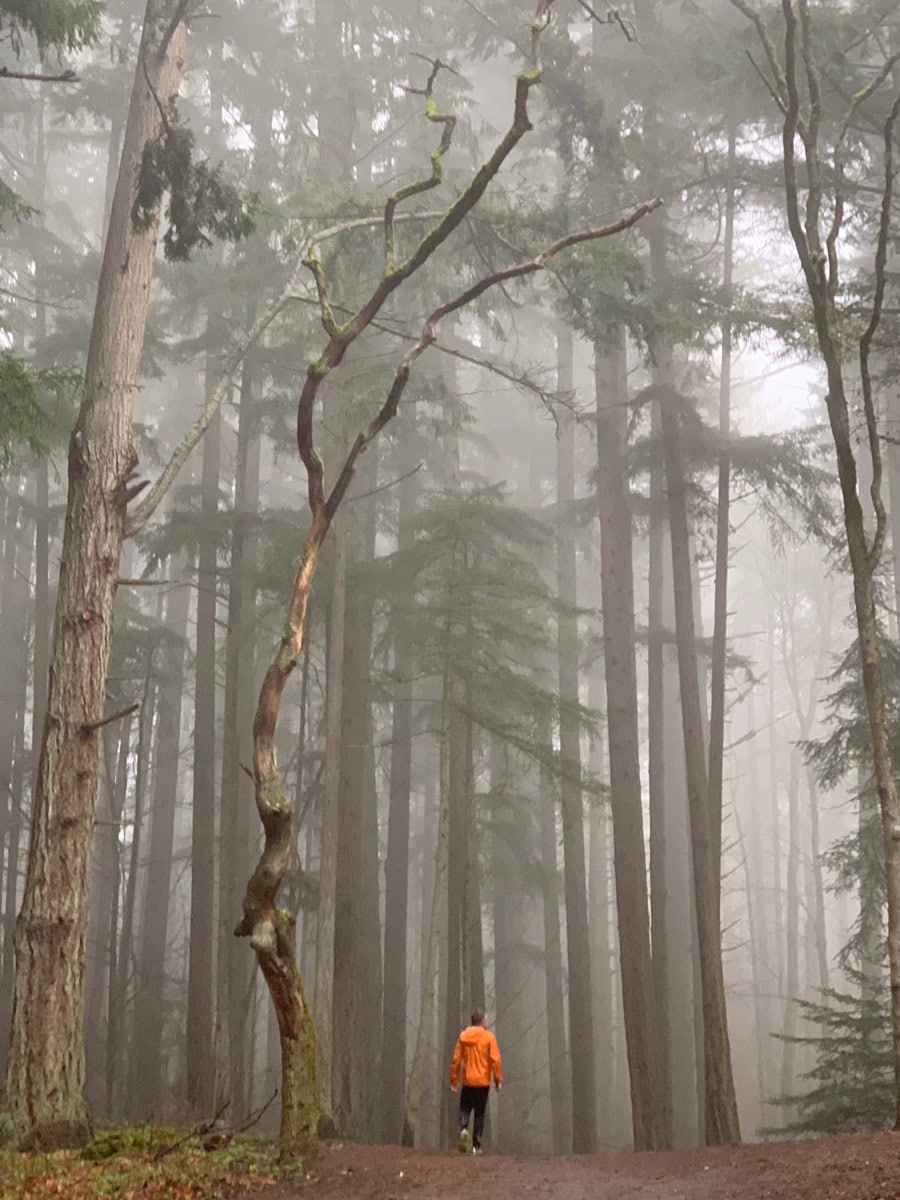 Hiking through the mist on Mount Doug one of the best hiking trails near Victoria