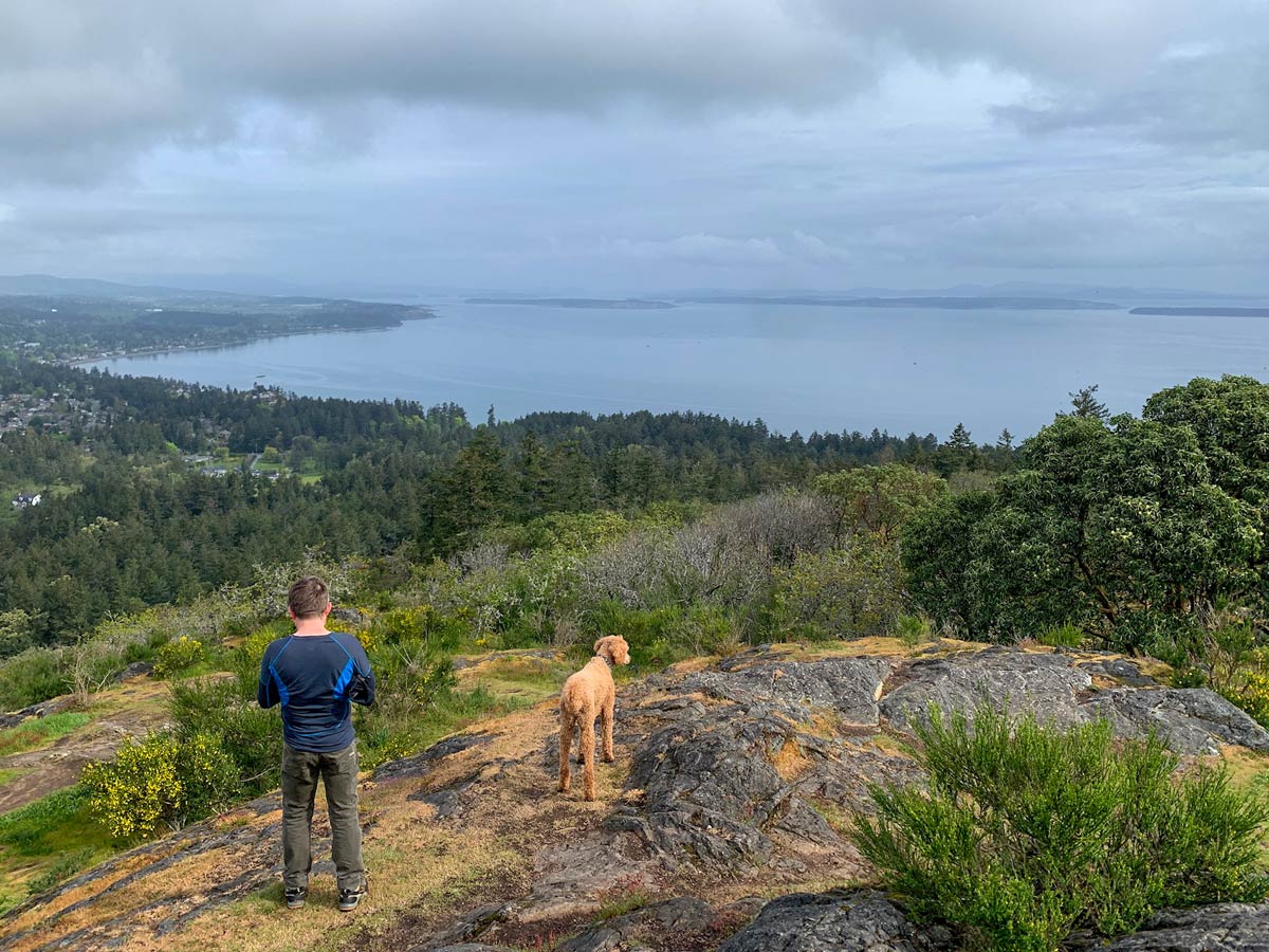 A boy and his dog admire the view from beautiful Mount Doug hiking trail near Victoria
