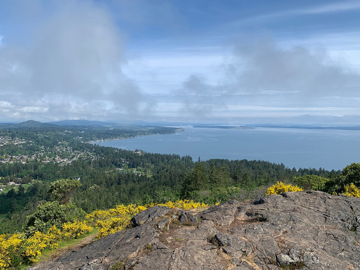 Calm ocean views from Mount Doug hiking near Victoria