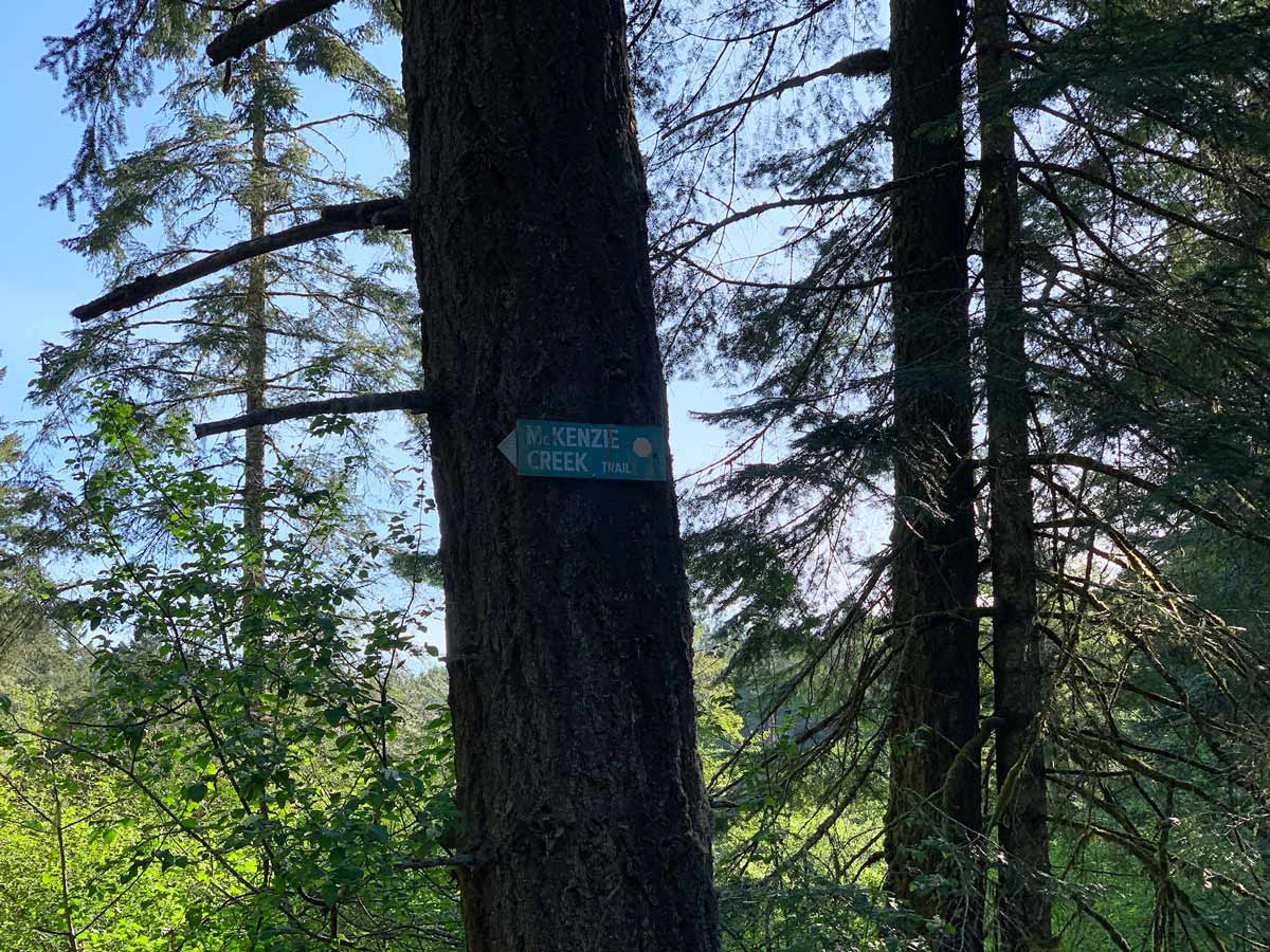 Old McKenzie Creek Trail sign along one of Victorias best hikes Thetis Lake