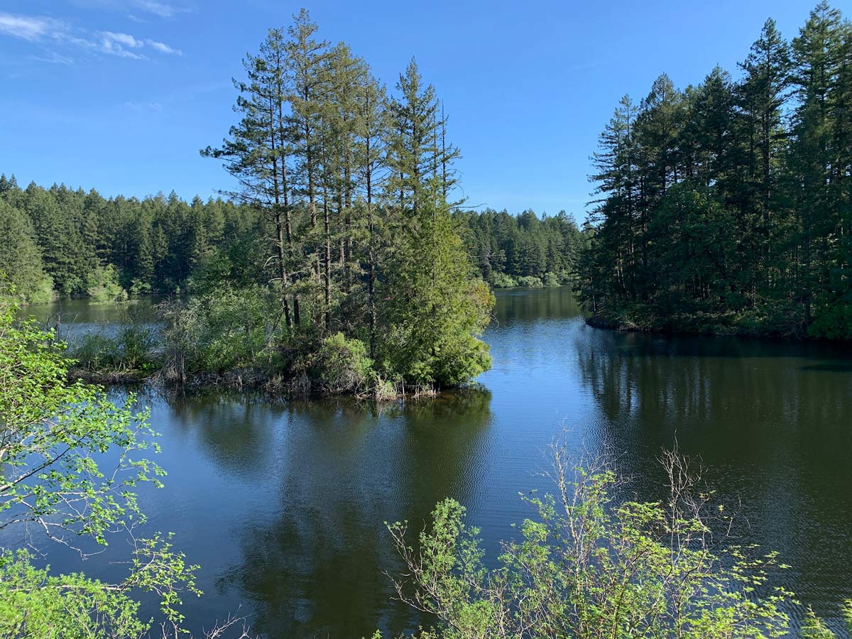 Shallow waters of Thetis Lake along beautiful hiking trail near Victoria