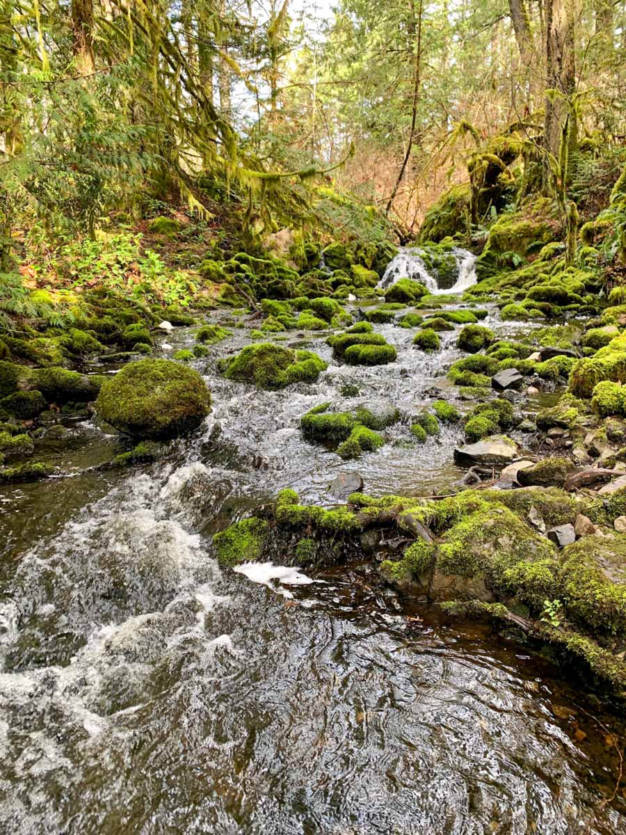 Beautiful river along trail to Thetis Lake near Victoria BC