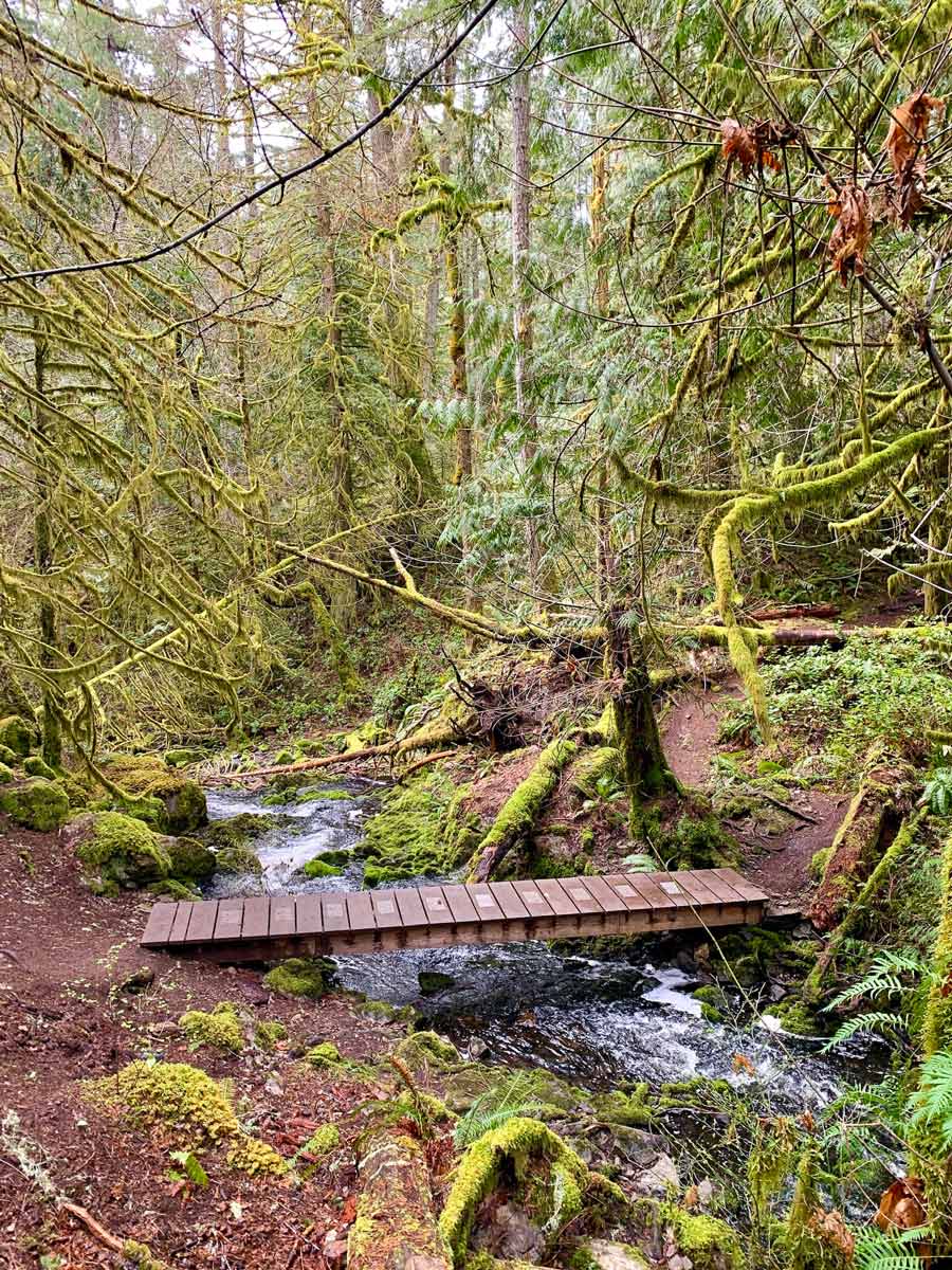 Bridge crossing creek near Thetis Lake on one of the most beautiful hikes near Victoria