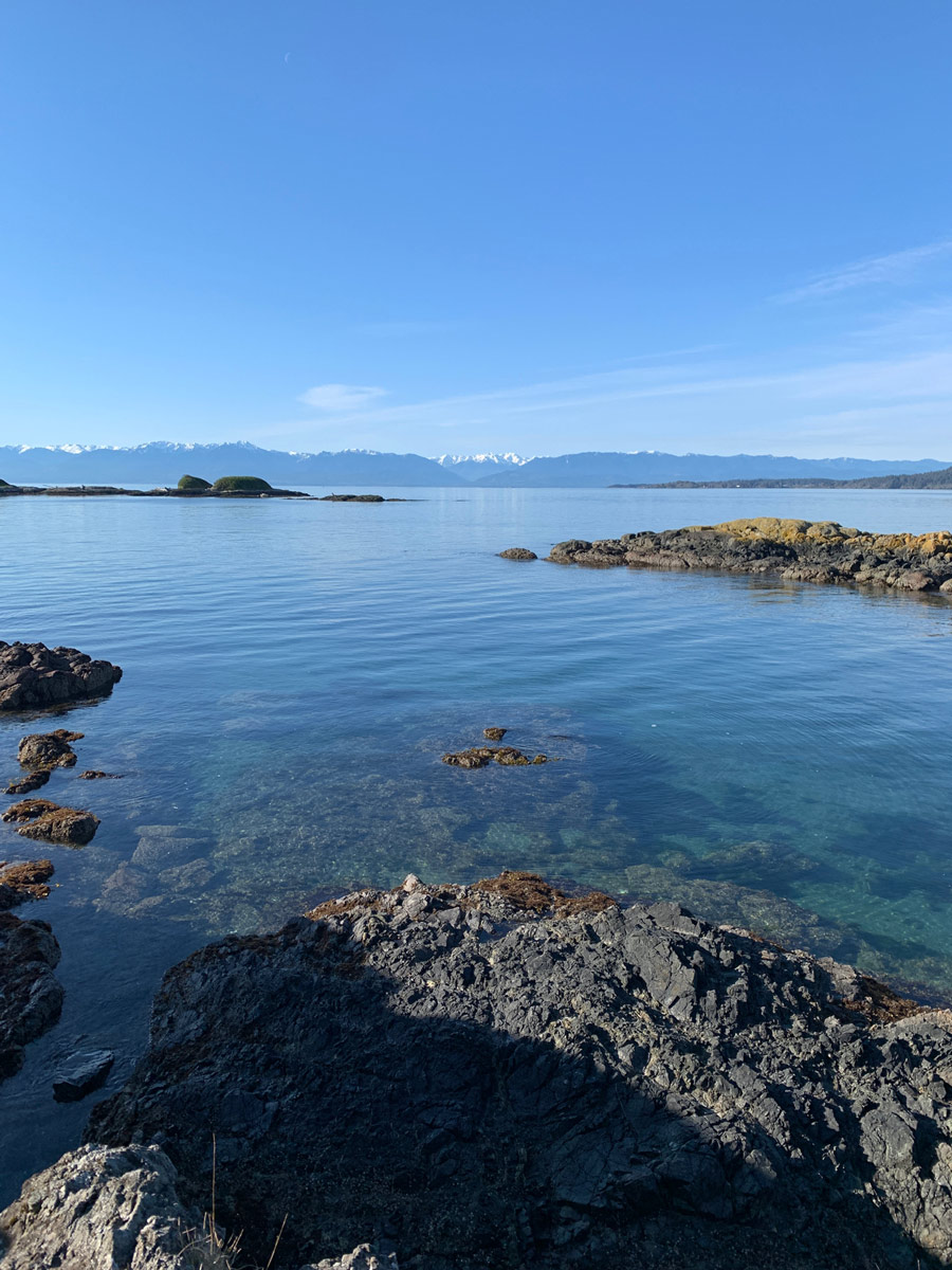 Turquoise ocean waters along Wittys Lagoon hiking trail near Victoria BC