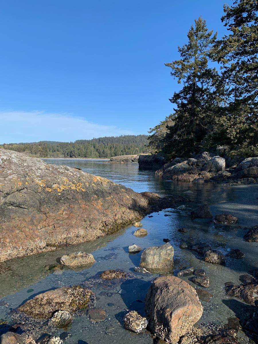 Shallow tide waters flood shores near Wittys Laggon hiking trail in Victoria region