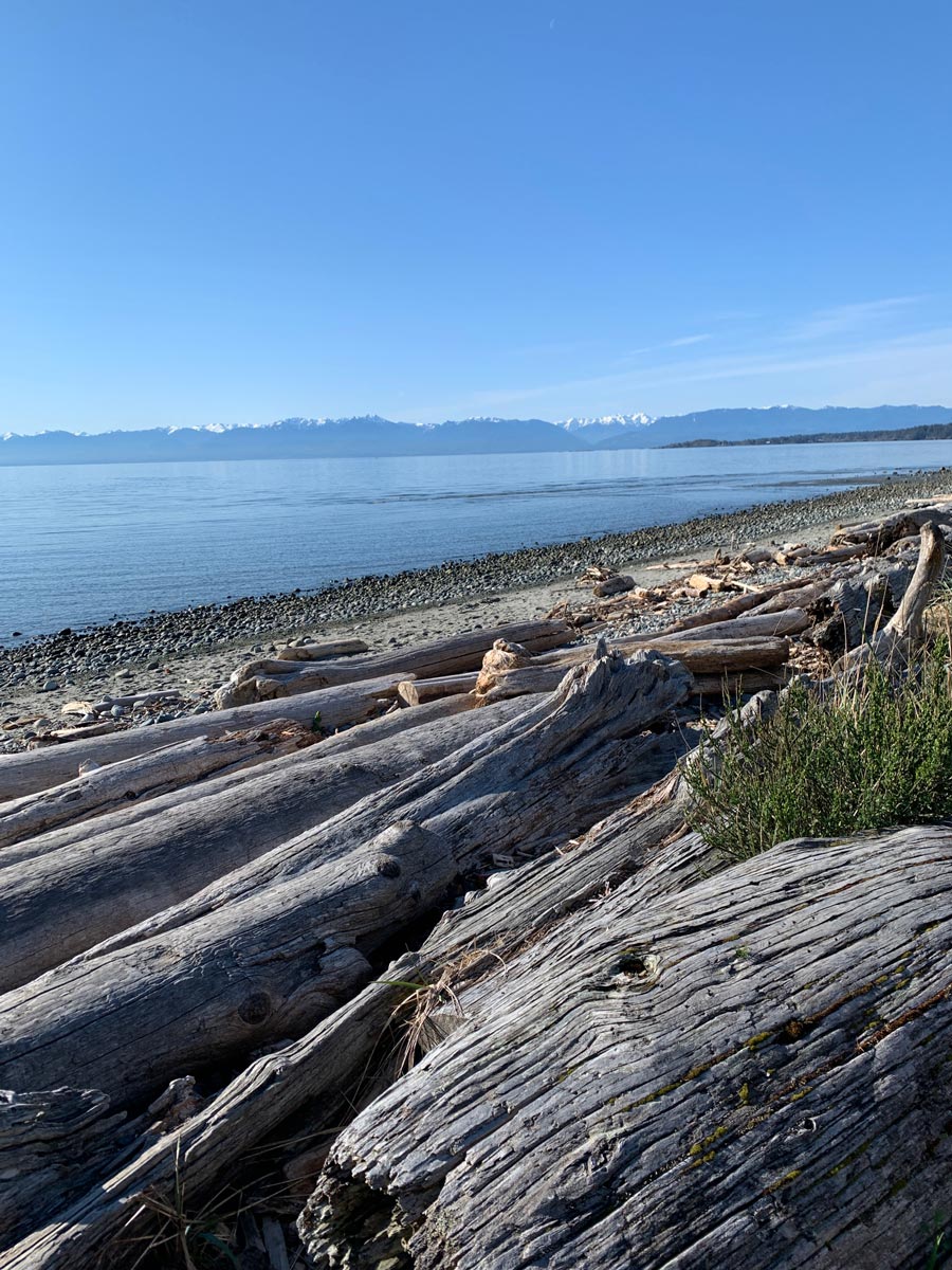 Driftwood piled on ocean shores near Wittys Lagoon around Victoria