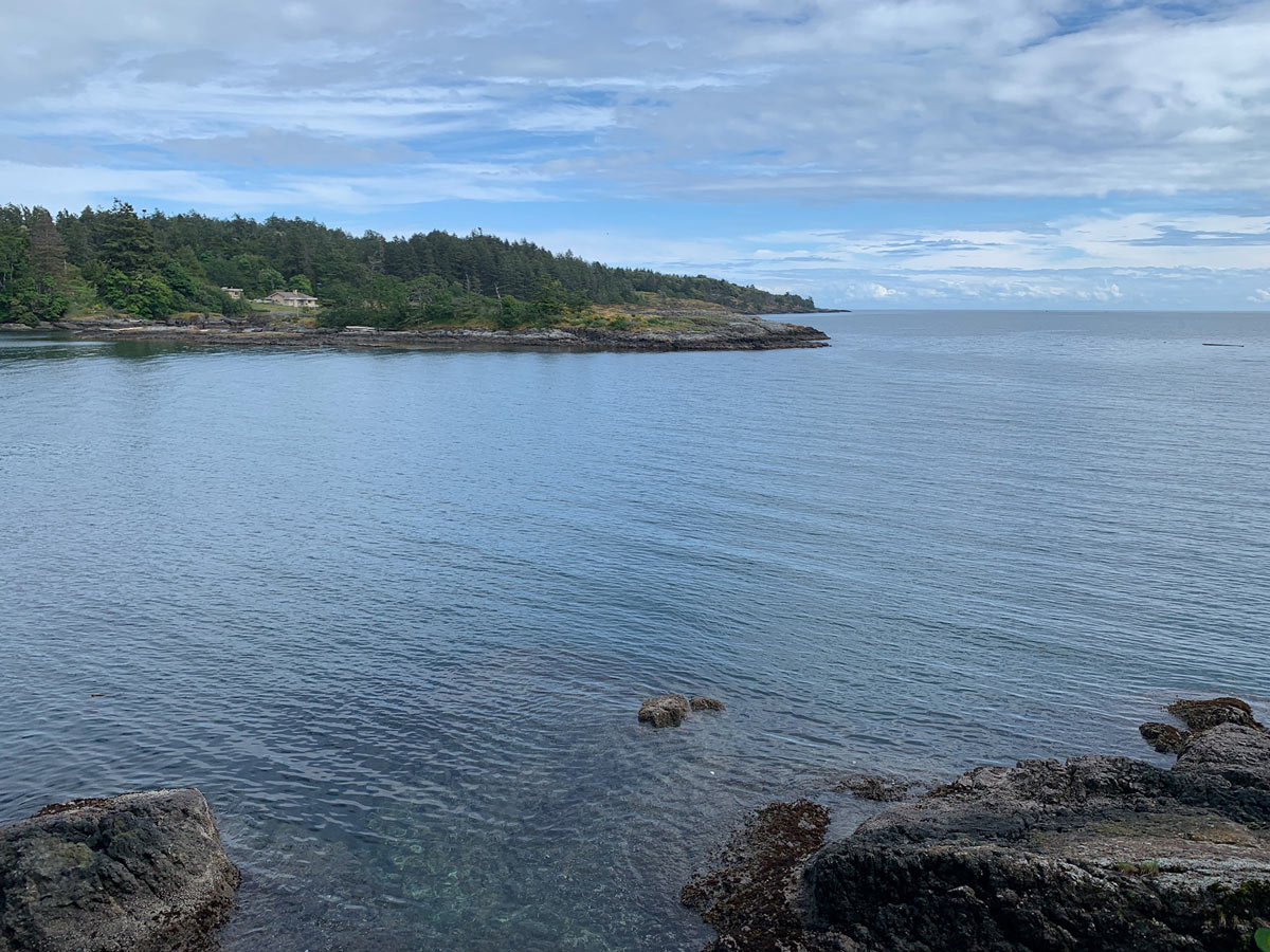 Ocean views from Wittys Lagoon trail one of the best hiking trails near Victoria