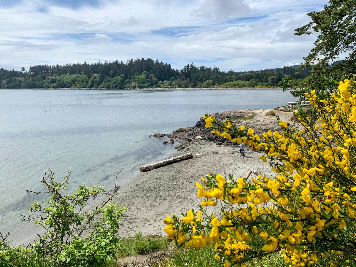 Beautiful ocean beach near Wittys Laggon along hiking trail in Victoria region