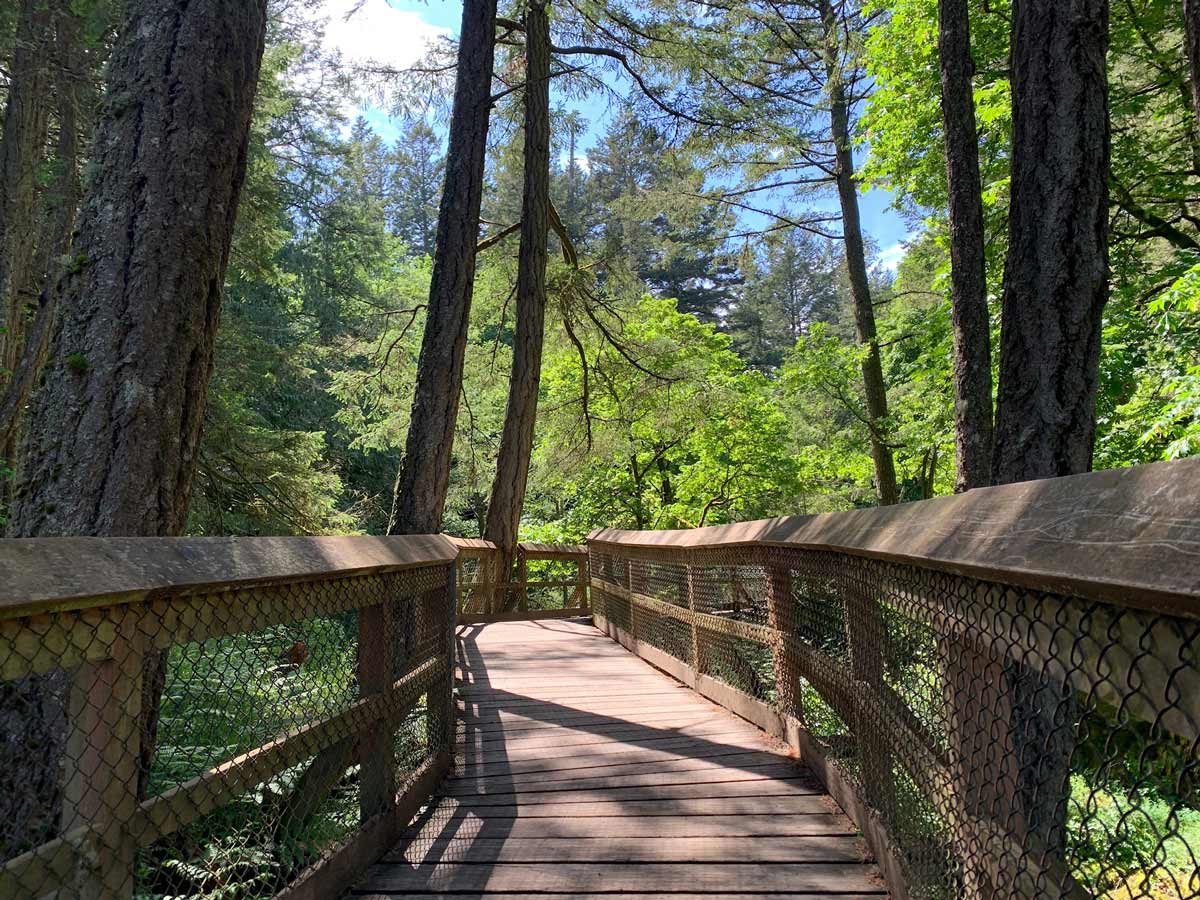 Boardwalk along trail to Wittys Lagoon one of the best hiking trails near Victoria BC