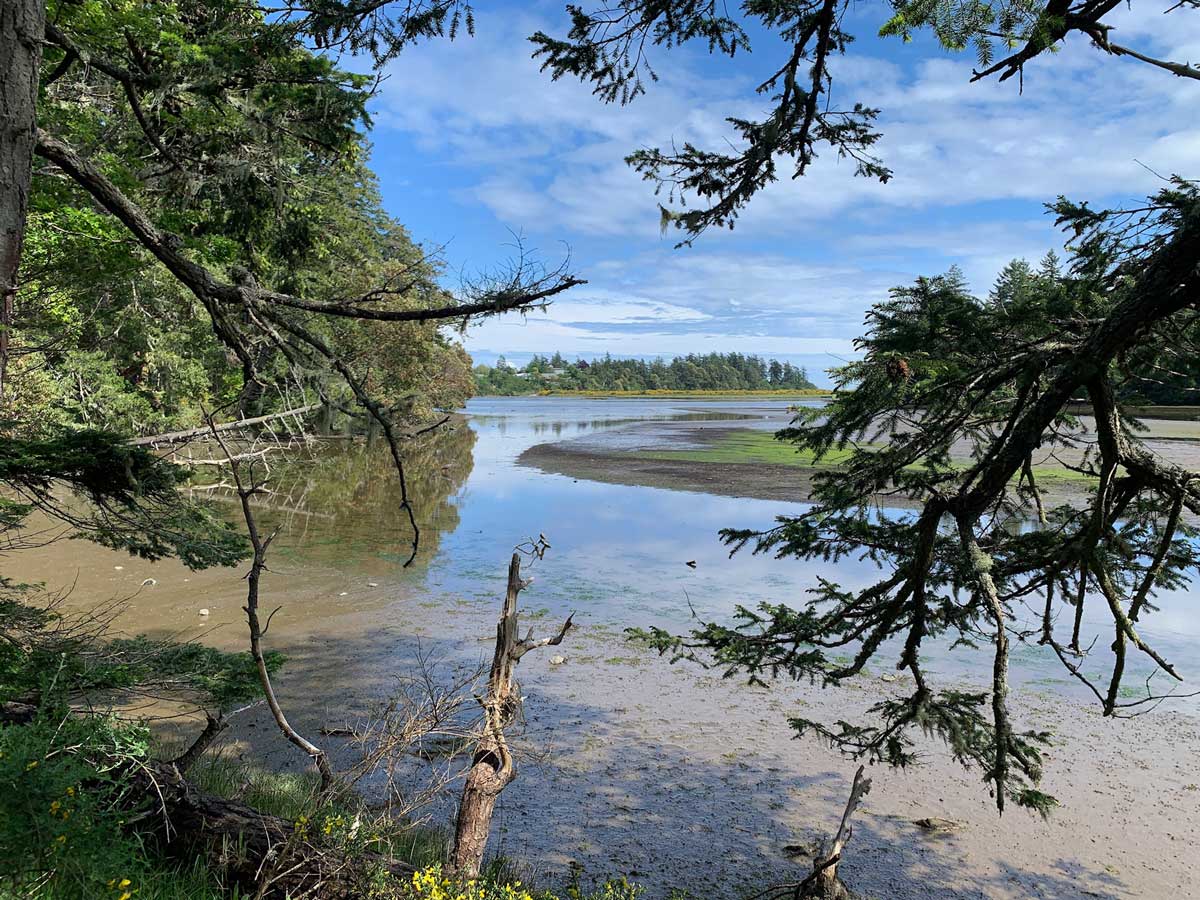 Beautiful clear waters at Wittys Lagoon hiking near Victoria