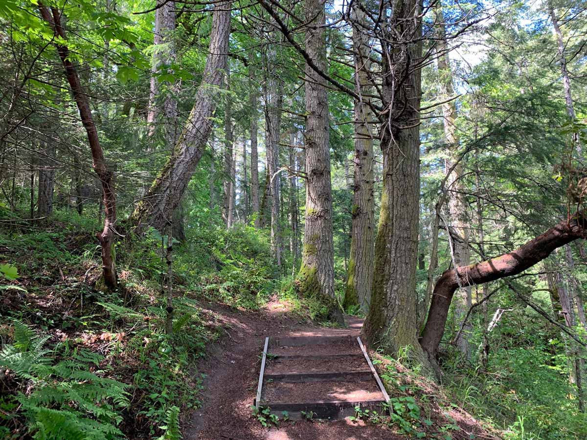 Wooded path to Wittys Lagoon along one of the best hiking trails near Victoria BC