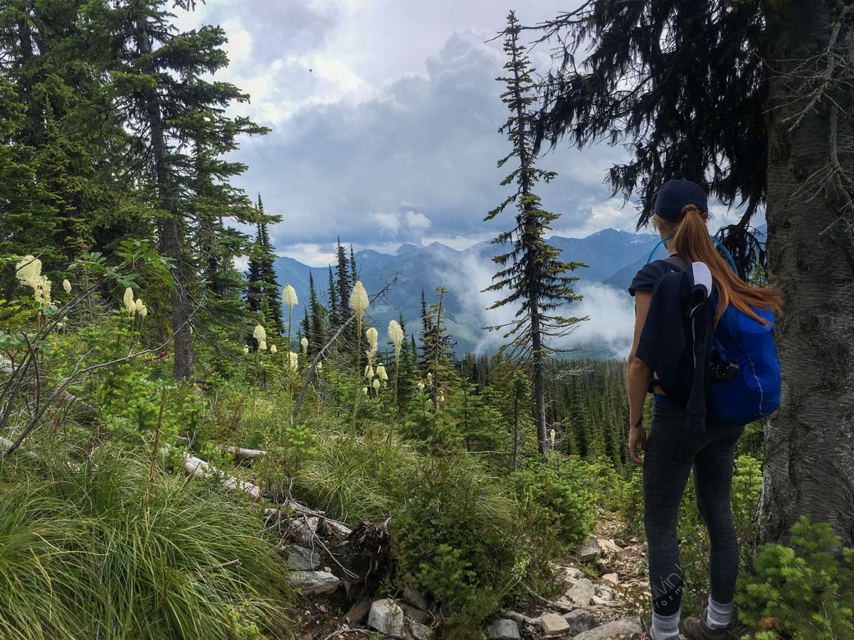 First View above tree line on Plaid Lake and Mount Crawford hike in West Kootenays