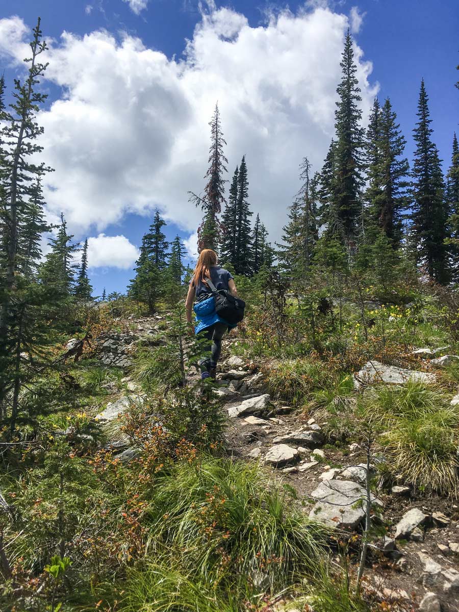 HIking out of the tree line on Plaid Lake and Mount Crawford hike in West Kootenays