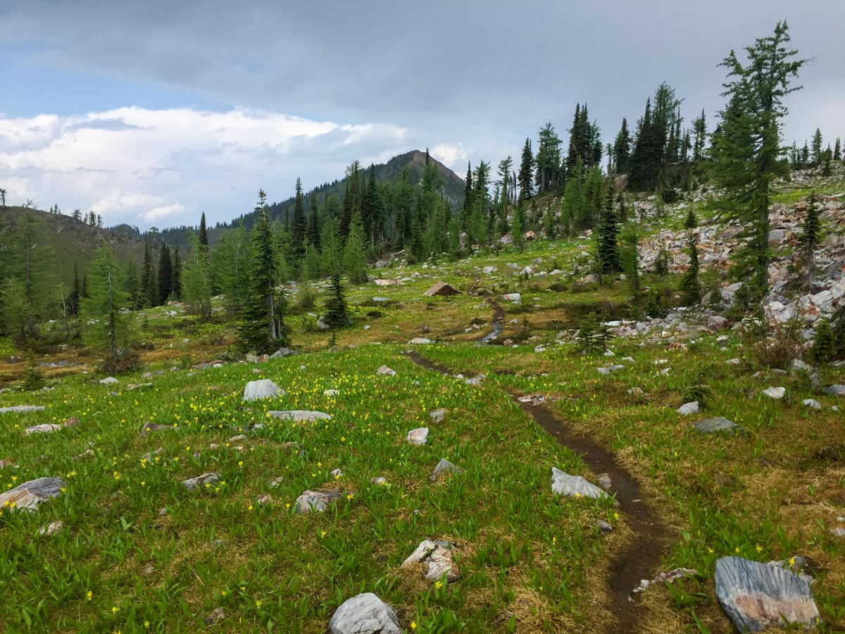 Beautiful meadows you get to cross on Plaid Lake and Mount Crawford hike in West Kootenays