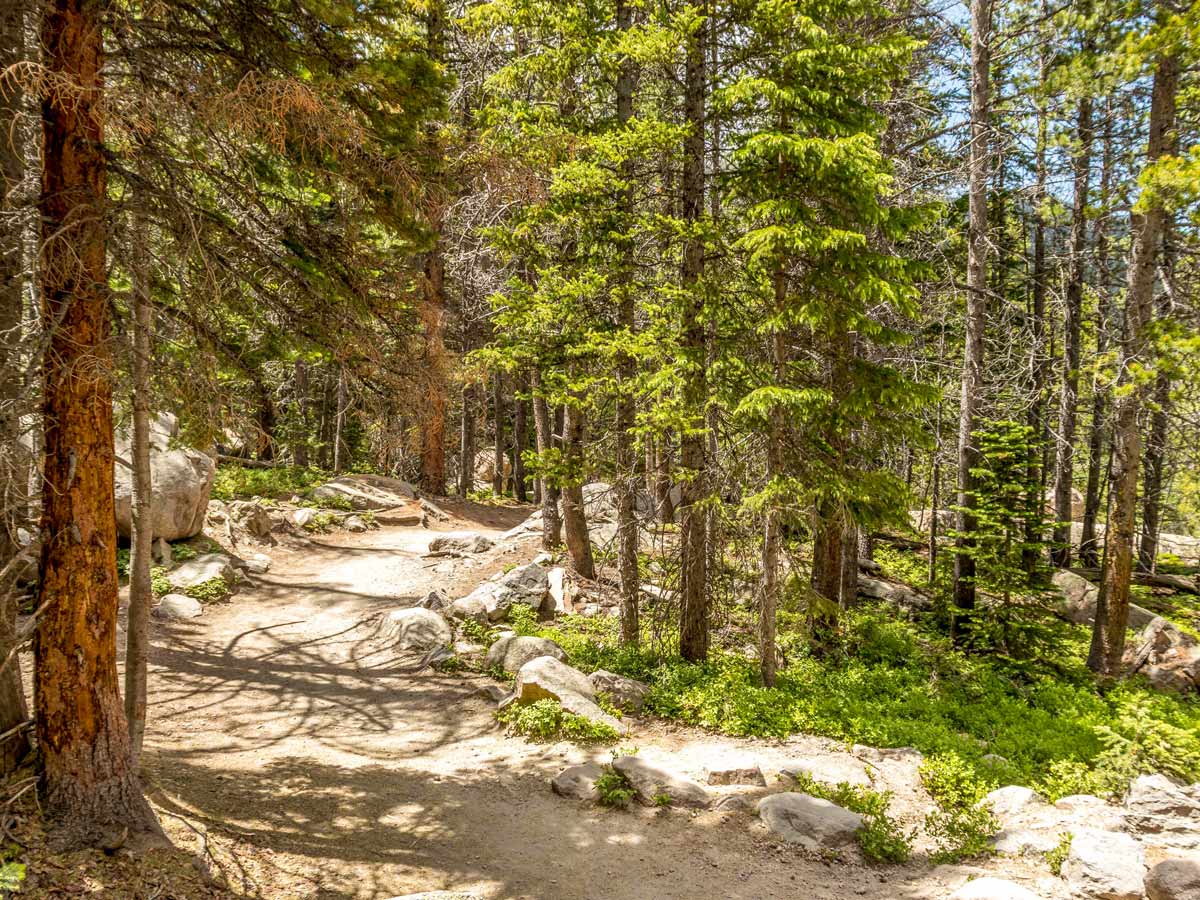 Trail through the forest to Mills Lake in Rocky Mountain National Park