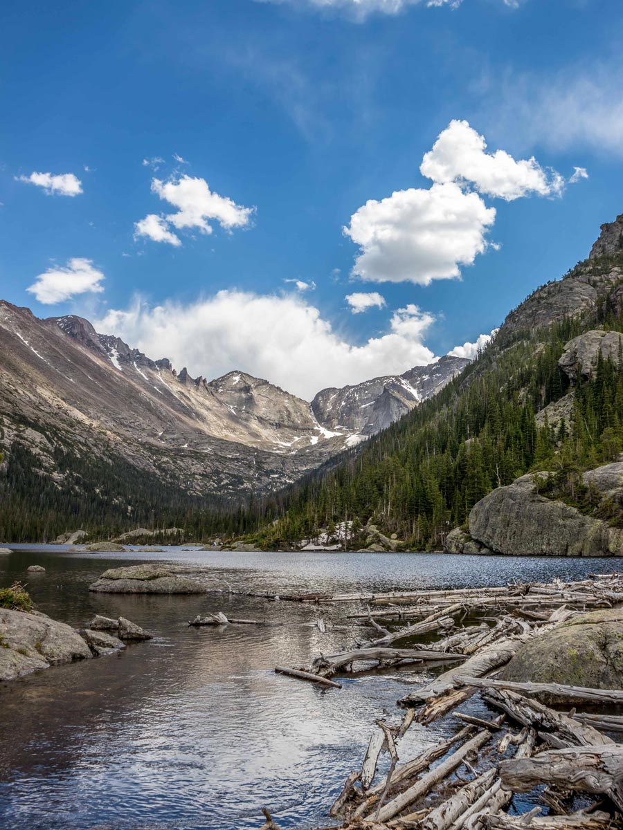 Driftwood in Mills Lake on great hiking trail in Rocky Mountain National Park