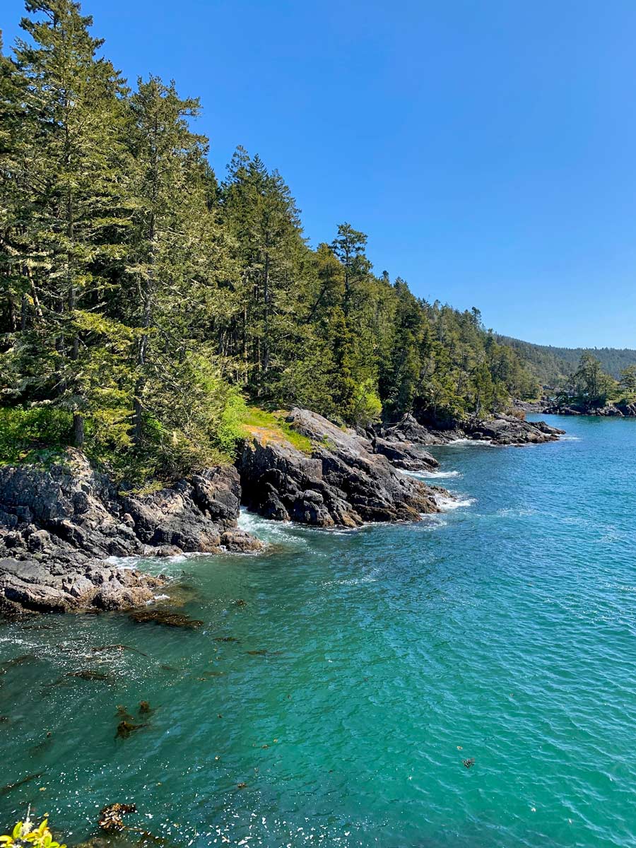 Rocky Pacific coast viewed from one of the best hikes in Sooke near Victoria BC