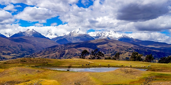 Wilcacocha Viewpoint