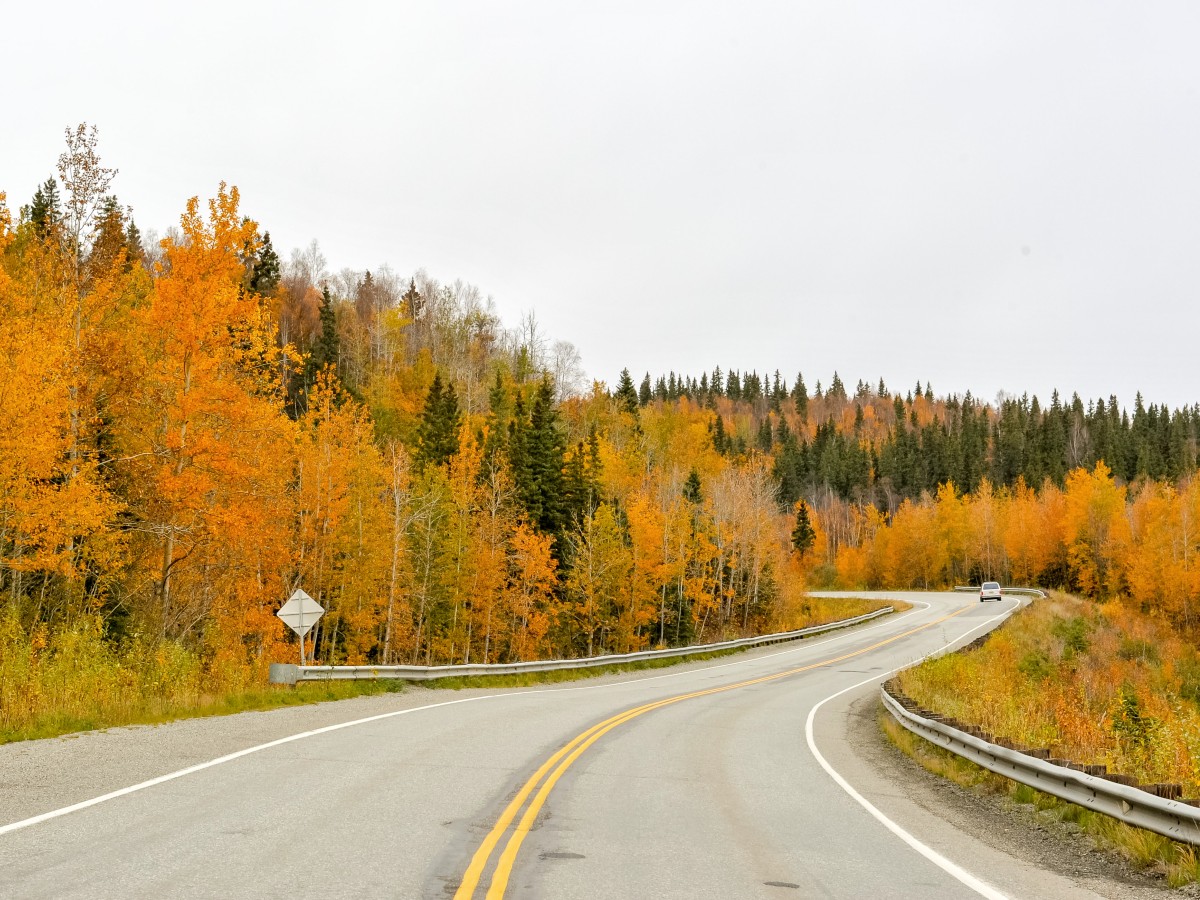 Autumn around Anchorage