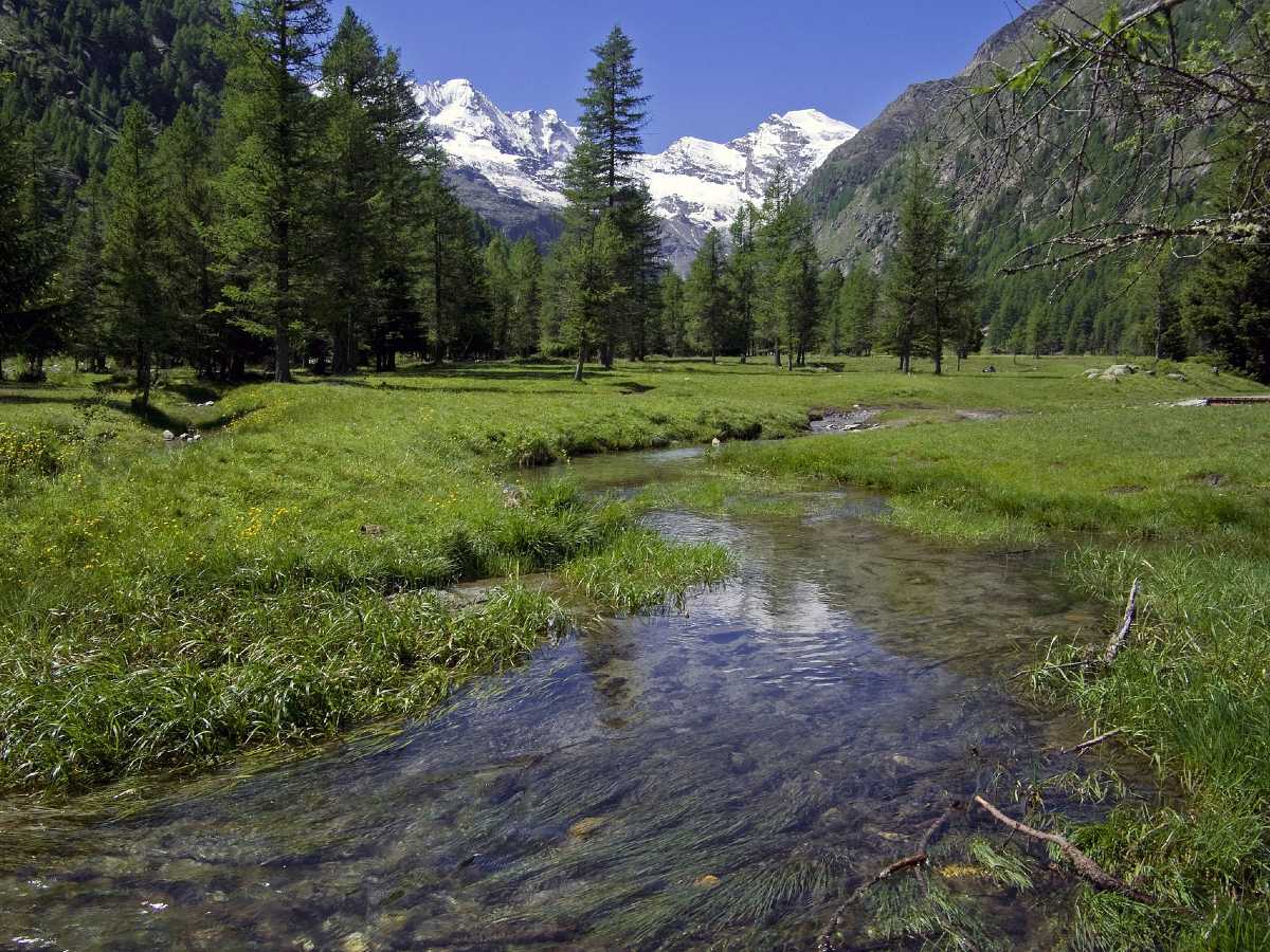Visiting Gran Paradiso national park during the summer is a very rewarding experience