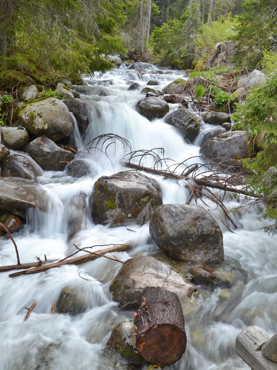 Demyanitsa river