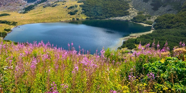 Yonchevo Lake
