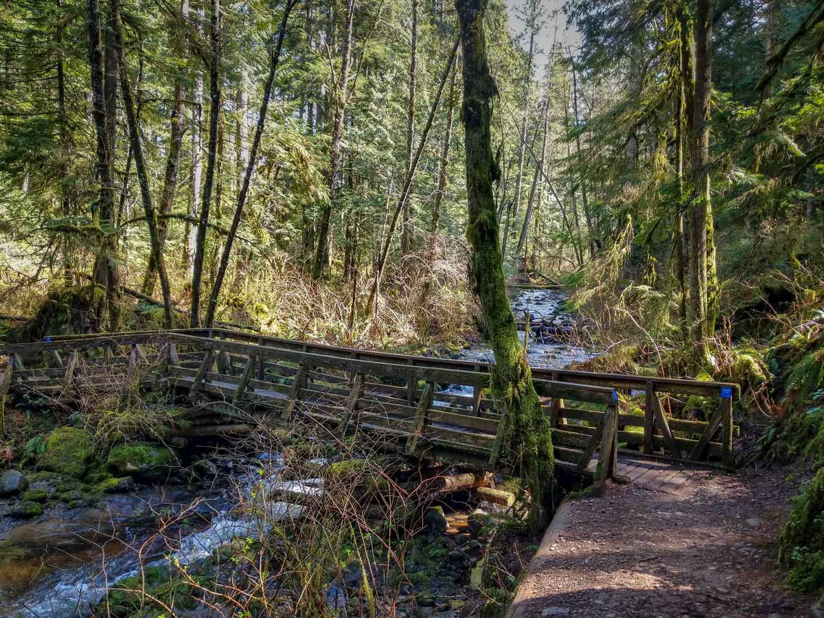 Bridge over Steelhead Creek on Steelhead Falls hike to natural waterfalls east of Vancouver in BC