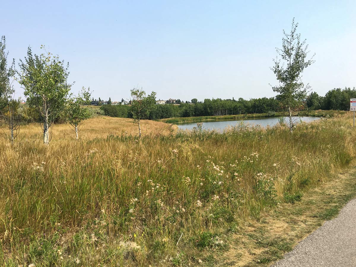 Cycling past ponds and grasslands at Fish Creek Park in Calgary
