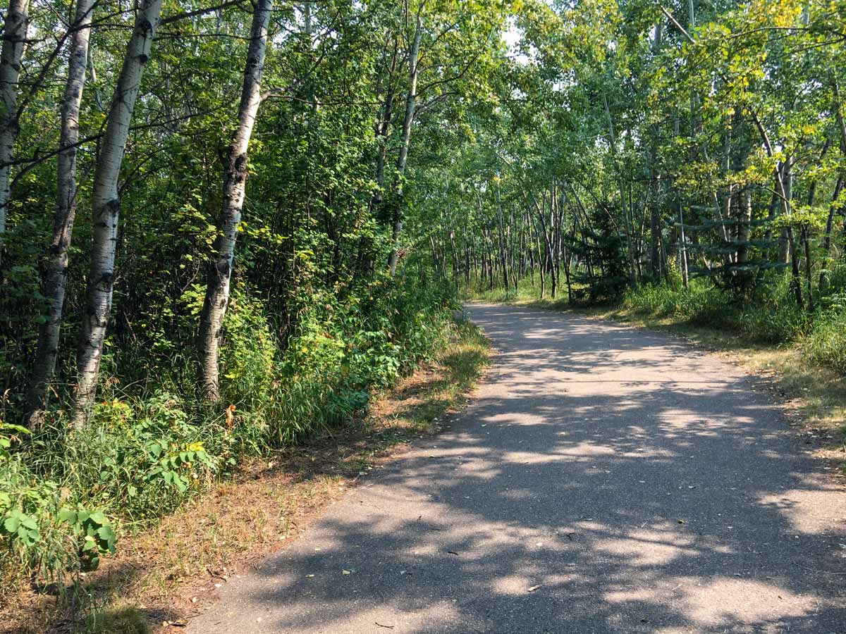 Cycling path shaded by beautiful trees at Fish Creek Park Calgary