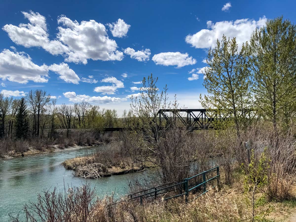 Biking through parks along the beautiful Bow River to Bowness cycling trail