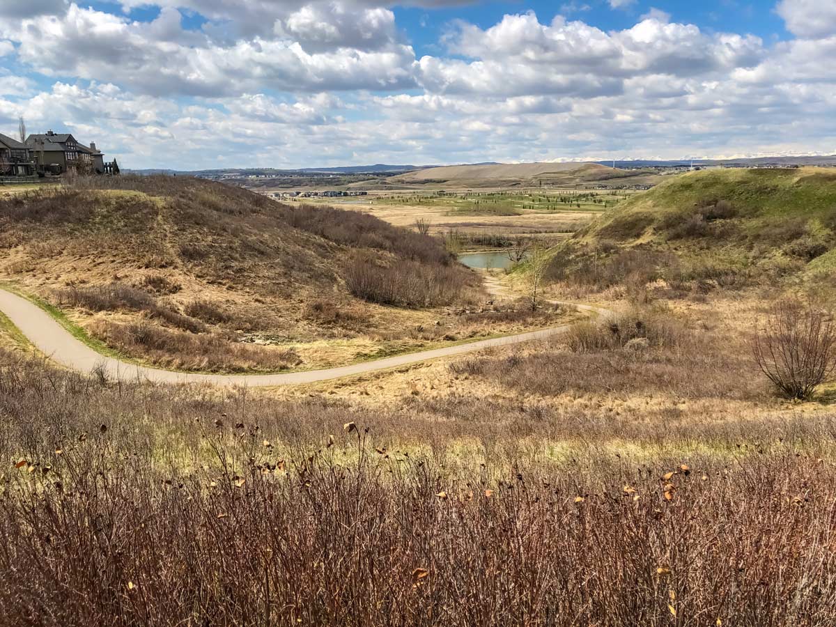 Cycling Bow River Pathway, Fish Creek 4